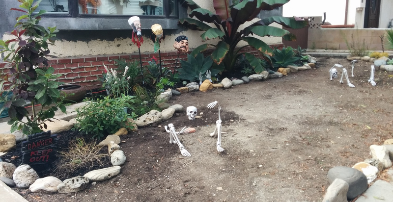 Illustration for article titled Halloween Decorations From a Few Neighborhoods